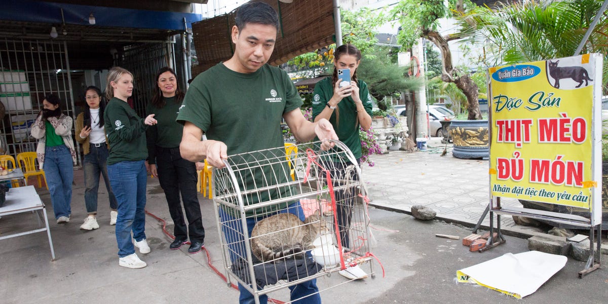 Un restaurant vietnamien qui noyait jusqu'à 300 chats par mois a fermé ses portes.  Son propriétaire s'est excusé d'avoir abattu des animaux domestiques.