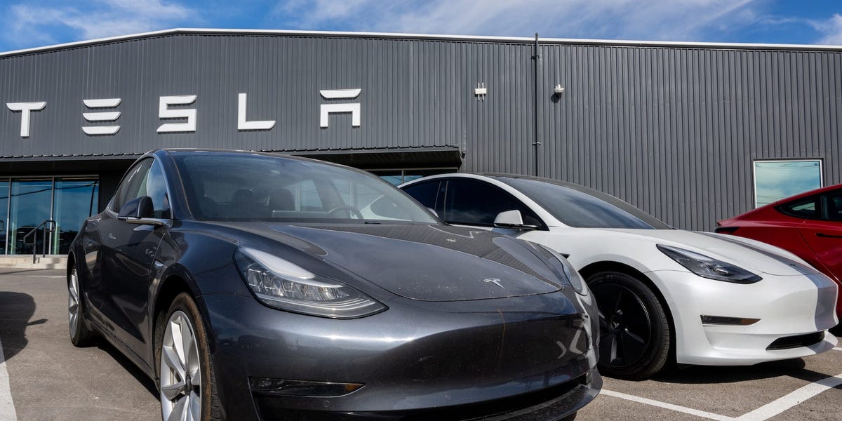 Tesla et Hertz s'effondrent alors que la société de location de voitures renonce à un gros pari sur les véhicules électriques