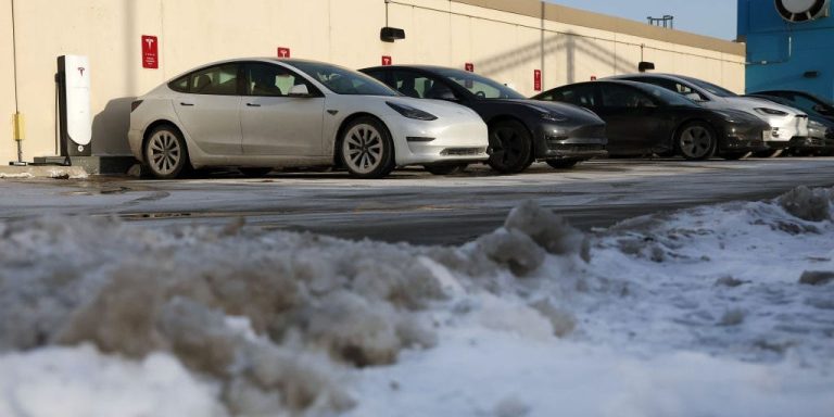 Les propriétaires de Tesla partagent leurs conseils pour faire face au froid extrême