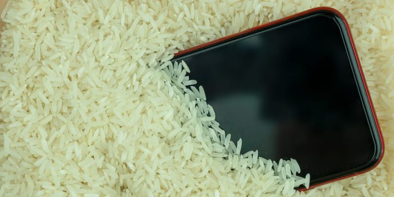 Ne séchez pas votre iPhone humide dans un bol de riz, dit Apple