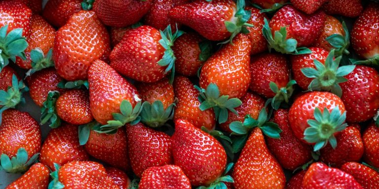 Le marché japonais des fruits de luxe arrive aux États-Unis et vous pourrez commander des fraises à 780 $ directement à votre porte